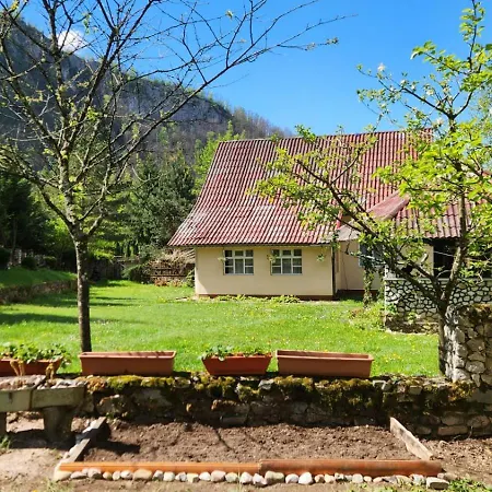 Casa De Vacanta Julius بيت خشبي باديس